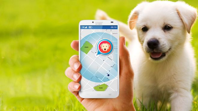 Alcatel GPS Move Track 4