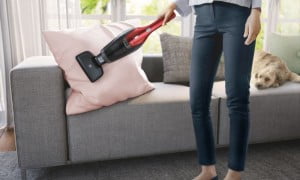 Electrolux Ergorapido 2