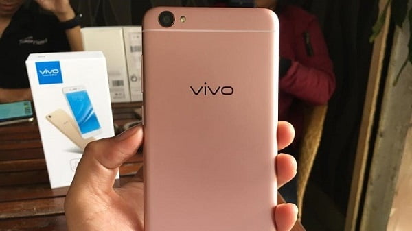 vivo