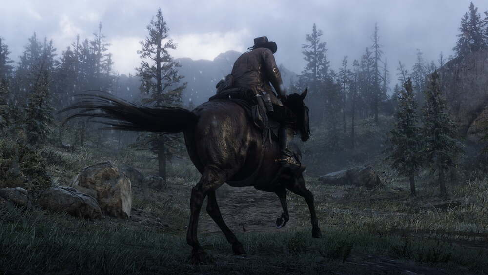 rdr 2 1
