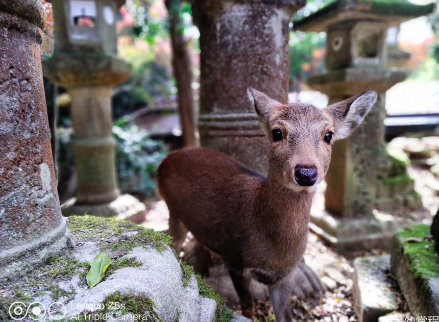 Ekran Resmi 2018 12 13 14.53.58