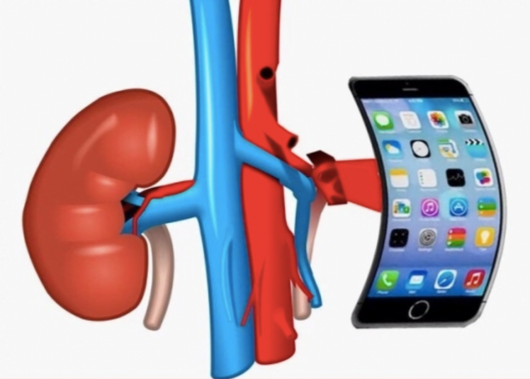 Ekran Resmi 2018 12 30 12.13.56