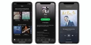 Spotify iPhone Xs Max ve Apple Watch Series 4 için güncellendi! 13 spotify