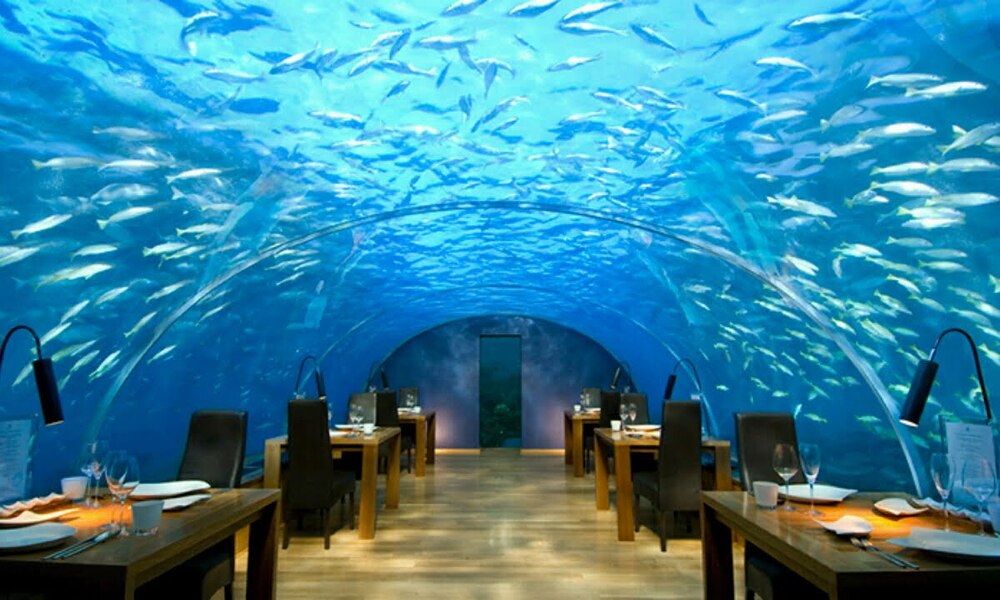 Restoran ve kafeler kapanıyor! Yeniden paket servis dönemi başlıyor 1 su altı restorantı