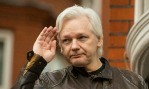 WikiLeaks kurucusu Julian Assange