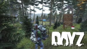 dayz