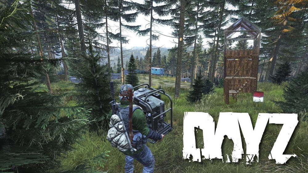 dayz