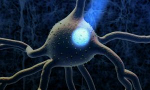 Bilim insanları ölümsüzlüğü bulmaya