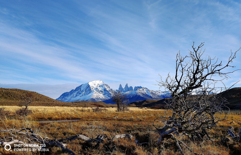 Ekran Resmi 2019 07 25 11.10.50