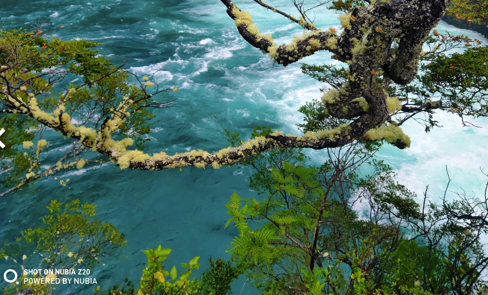 Ekran Resmi 2019 07 25 11.11.01