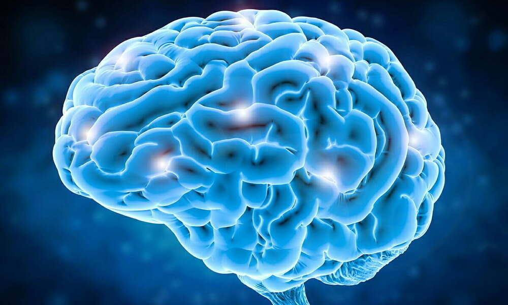 Yeni beyin araştırmaları