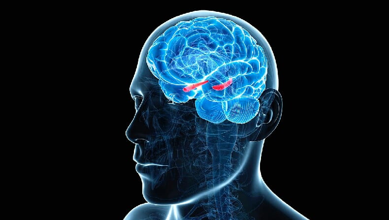 Parkinson hastalığının belirtilerinden