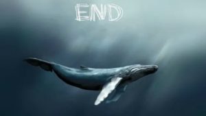 Balina yatırımcılar kripto para