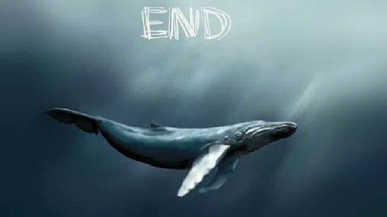 Balina yatırımcılar kripto para