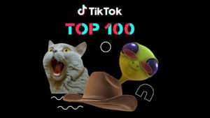 en iyi TikTok videoları