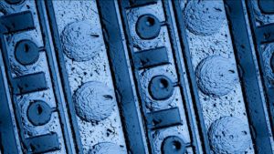 Hızlı sonuç veren 3D 1