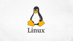 Linux işletim sistemi pazarı giderek büyüyor 15 Linux işletim sistemi pazarı