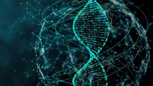 İnsanlar vs şempanzeler
