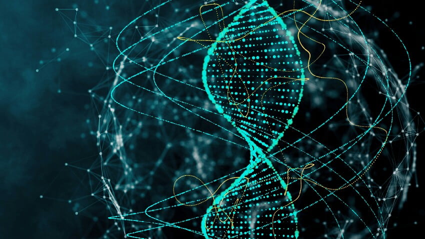 İnsanlar vs şempanzeler