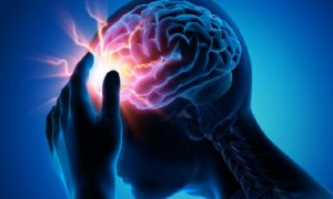 Beyin kontrolü yeni deneylerle