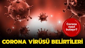 Koronavirüs belirtileri