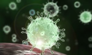 Kıbrıs Corona vakası yeni