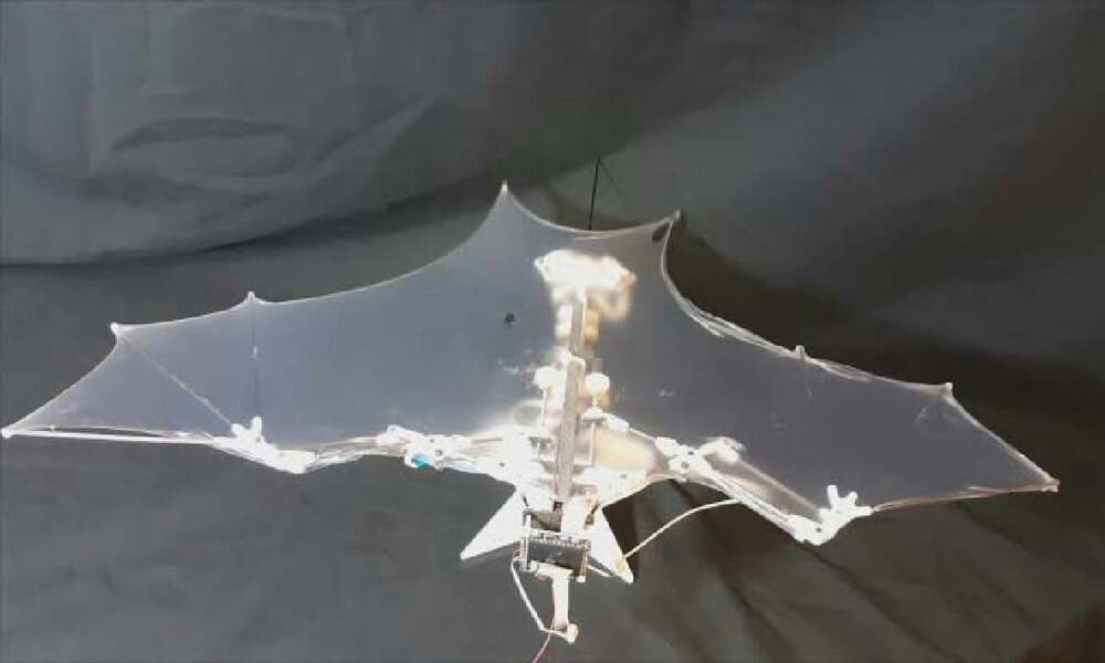 Yarasaya benzeyen drone