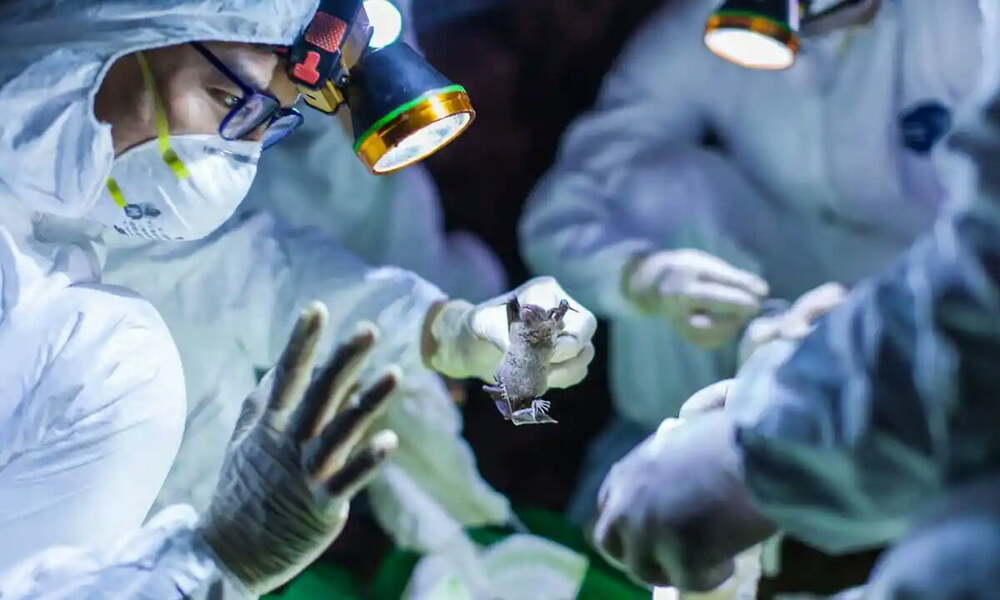 alkol Corona virüsünden koruyor1