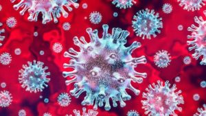 Koronavirüs vücut hücrelerine