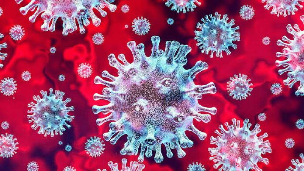 Koronavirüs vücut hücrelerine