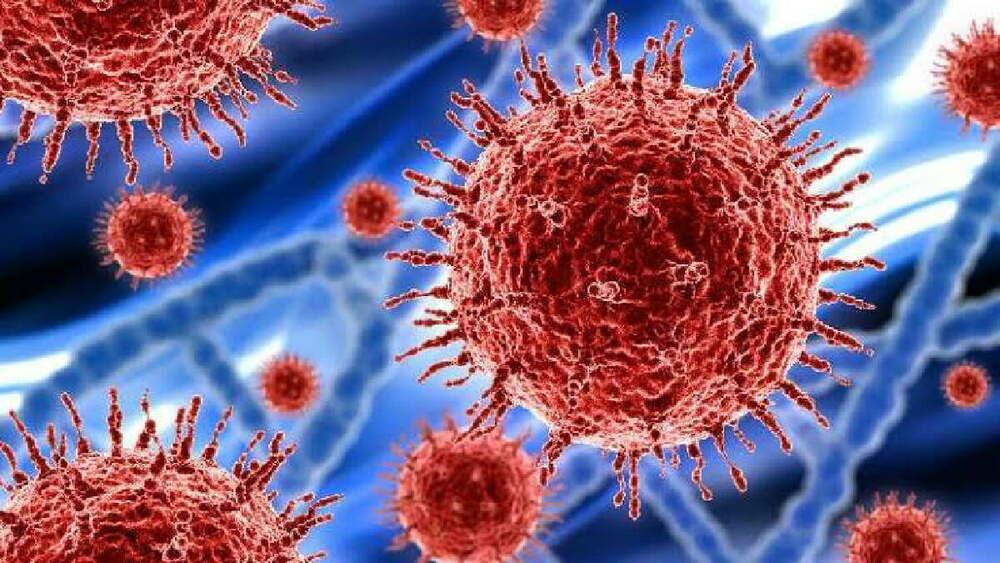 Koronavirüsü yendikten sonra tekrar hastalanmak mümkün mü? 1 Koronavirüsü yendikten sonra