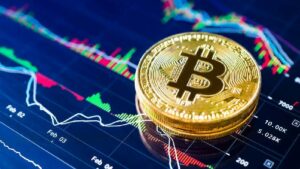 Bitcoin balinaları büyük miktarda transfer yaptı: Peki bu ne anlama geliyor 14 Bitcoin için fiyat artışı