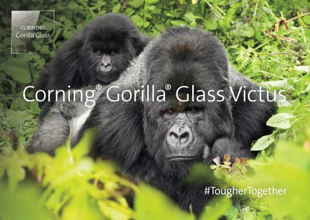 Gorilla Glass Victus