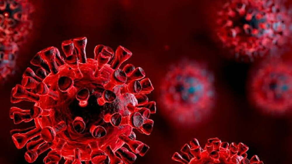 Bill Gates kıyametyeni koronavirüs testi senaryolarını