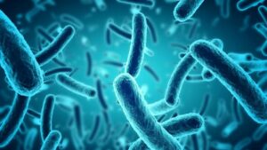 Çin yeni virüs türü