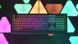 Razer Cynosa V2 RGB oyuncu klavyesi: Her tuşu ayrı ayrı renklendirin 19 fgerherh