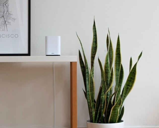 Kendi kendisini optimize eden Wi-Fi 6