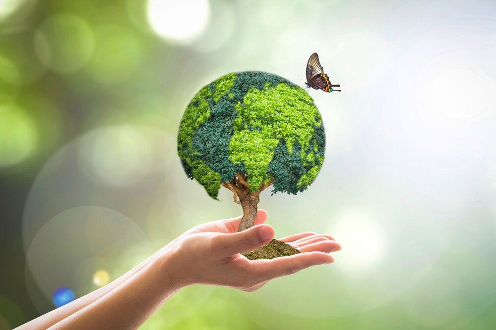 sürdürülebilir dünya
