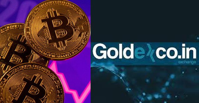GoldexCoin battı mı