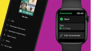 Spotify kullanıcıları artık Apple Watch'tan müzik indirebilecek 1 Spotify kullanıcıları artık Apple Watch'tan müzik indirebilecek