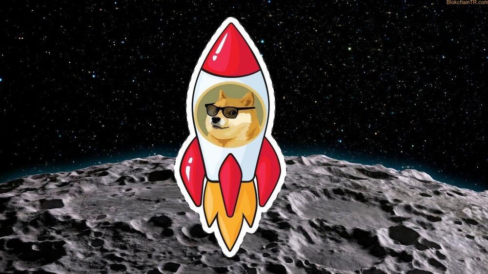 Elon Musk Doge