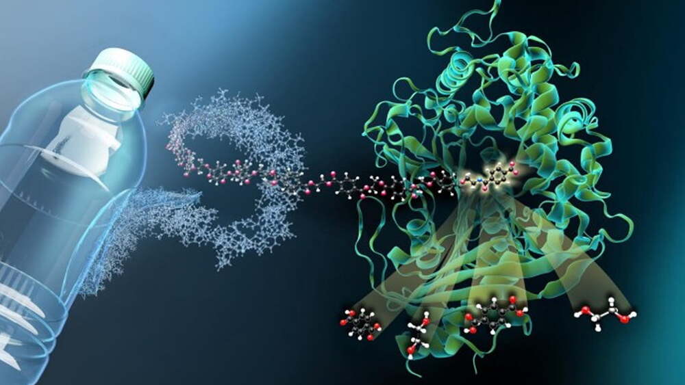 Market poşetleri zam listesine