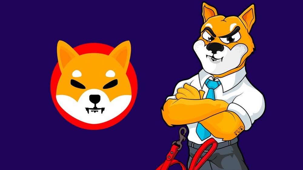 Shiba Inu değerini 3’e katladı