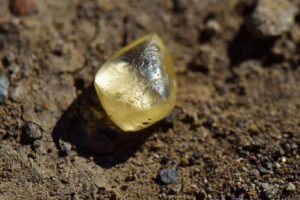 Parkta dolaşırken 4.38 karatlık pırlanta buldular