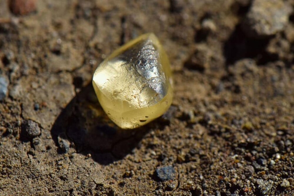 Parkta dolaşırken 4.38 karatlık pırlanta buldular