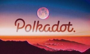 Polkadot Blockchain ağı