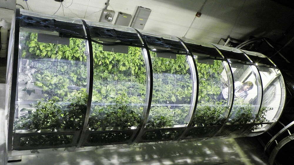 Uluslararası Uzay İstasyonu sera