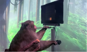 Neuralink federal soruşturma altında 5 Neuralink federal soruşturma altında