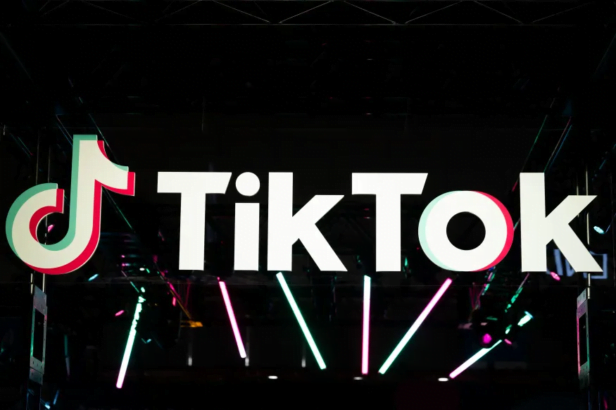 TikTok karşı hukuki mücadele