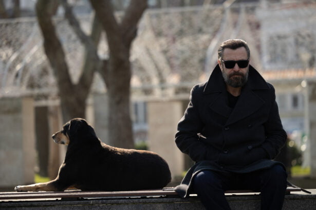 Kötü adamın 10 günü